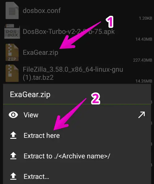 Extract the ExaGear Emulator ZIP file
