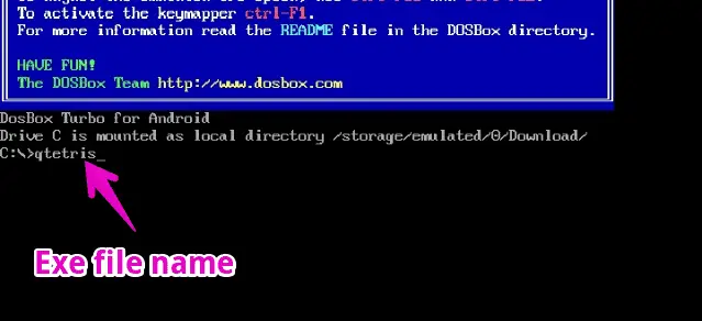 type exe file name in dosbox to run it