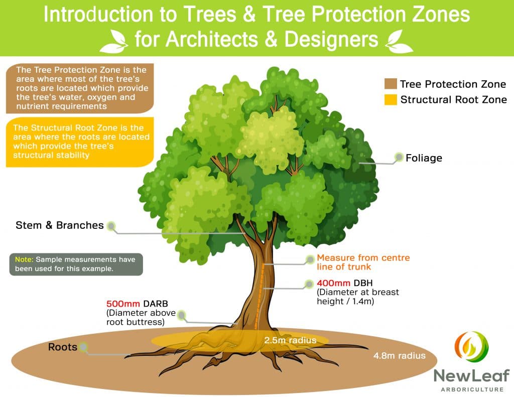 TreeLeftBig.Shop: Your One-Stop Shop for Amazing Deals!