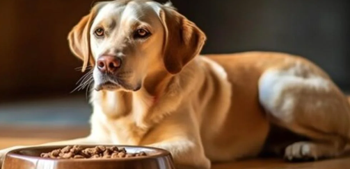 Mwpfsettlement.com: Get Your Settlement Today