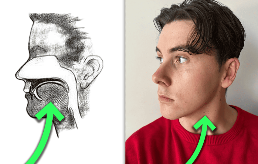 What Is Mewing? Transform Your Jawline Naturally Today!