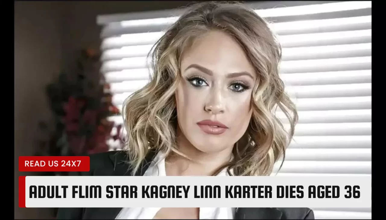 WAAA-117: The Ultimate Guide You’ve Been Searching For