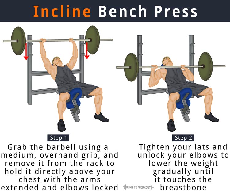 Incline Bench Press: Build a Bigger, Stronger Chest Fast